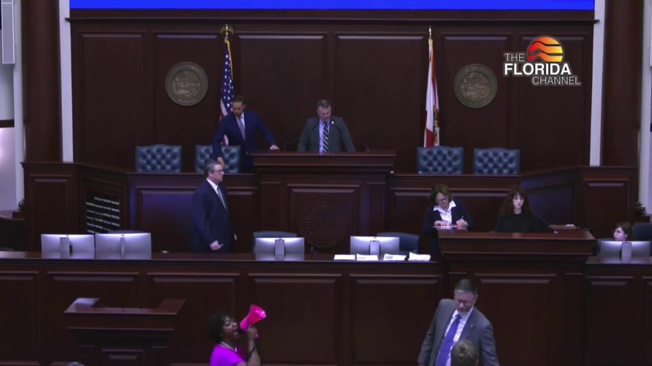 Florida Democrat disrupts redistricting vote in bullhorn shouting outburst
