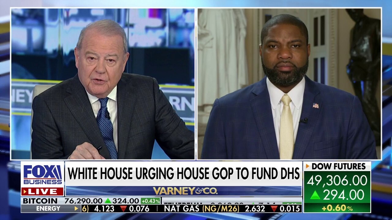 Democrats' 'Trump Derangement Syndrome' has gone 'off the ledge': Rep. Byron Donalds