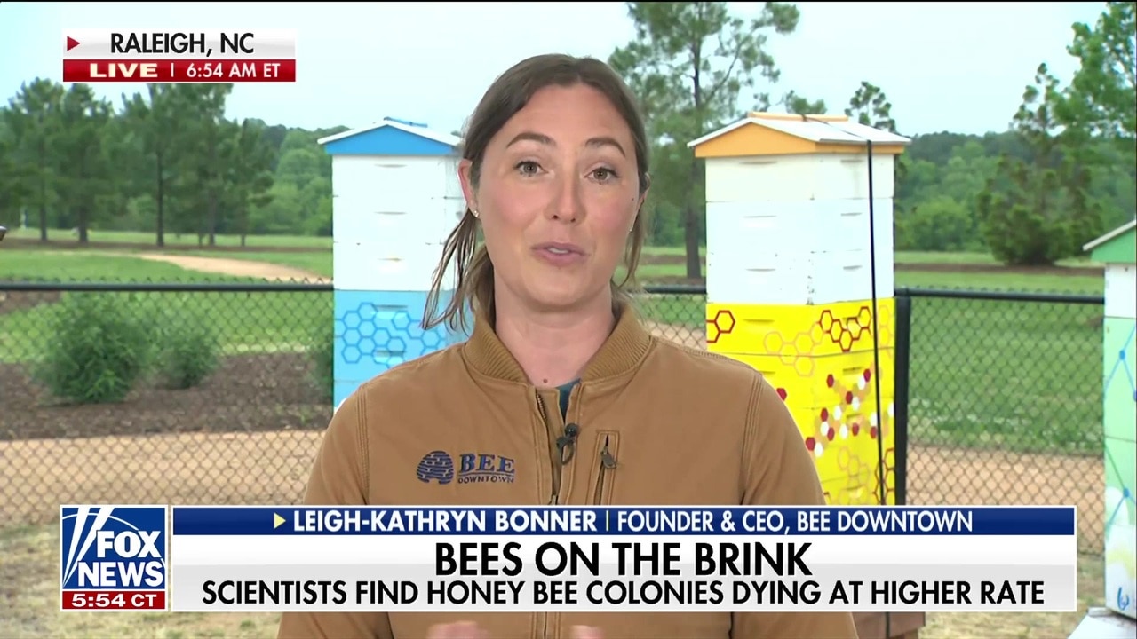 Melania Trump adds new beehive to White House honey program