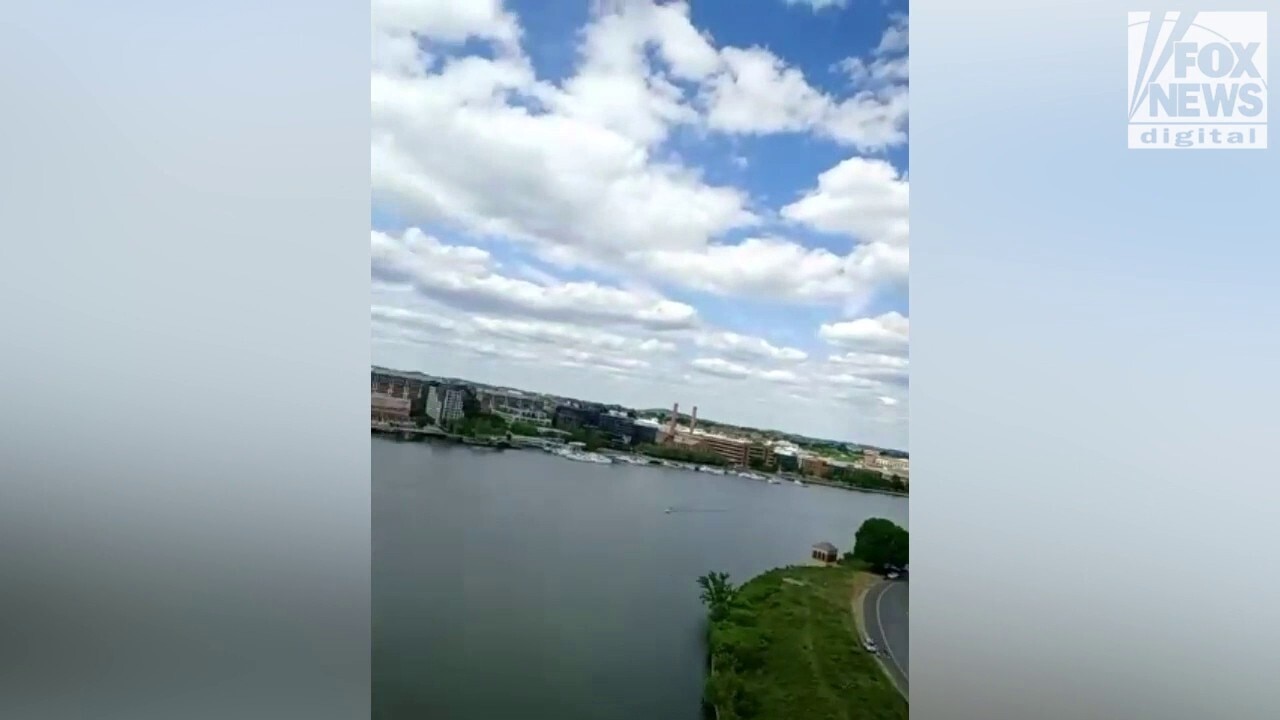 DC protester reveals view from top of nation's capital