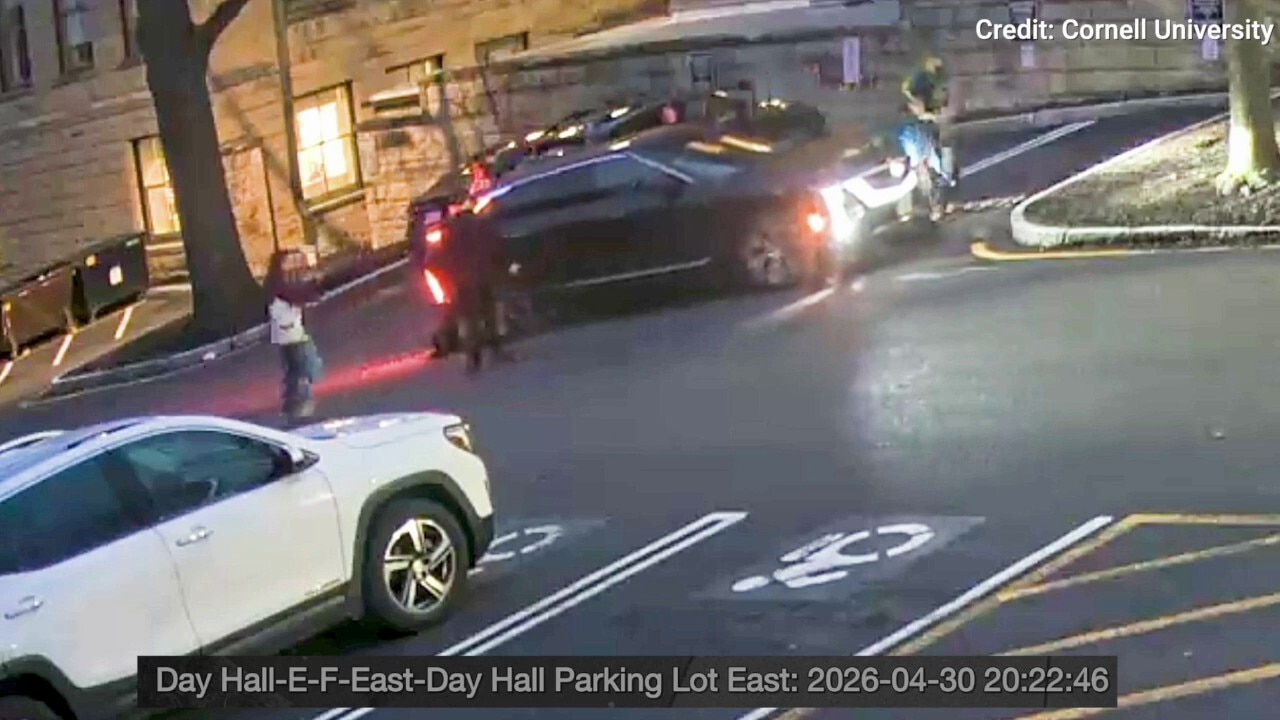 WATCH: Campus clash erupts as Cornell president accused of hitting students with car