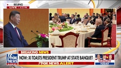 Xi Jinping toasts President Trump at state banquet in Beijing