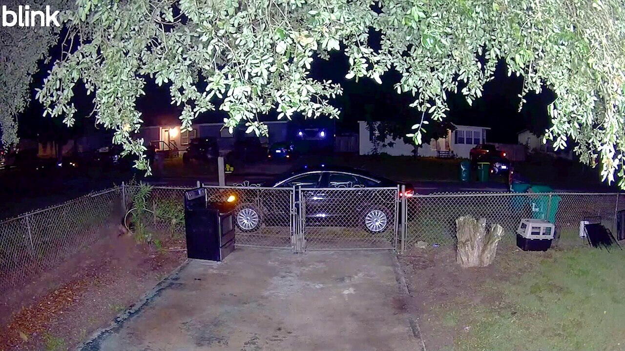 Watch Florida woman mauled in dog attack - FNC | FOX One