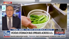 Vicious stomach bug spreads across US