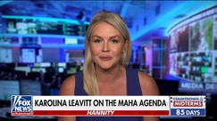 Karoline Leavitt: These Democrats hide behind 'cute labels'