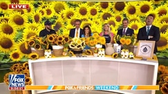 Waterdrinker Family Farm managers share tips on building the perfect sunflower bouquet