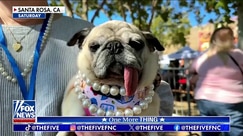 Kat Timpf: I love an ugly animal!