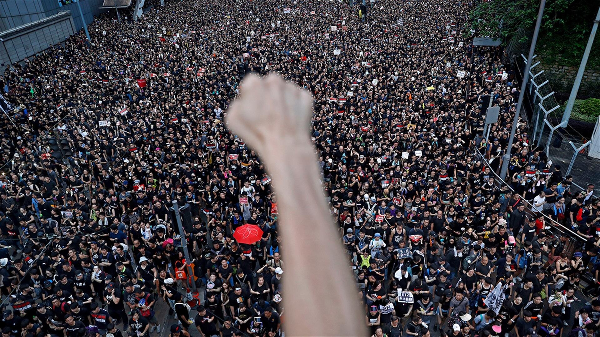 Hong Kong Protests