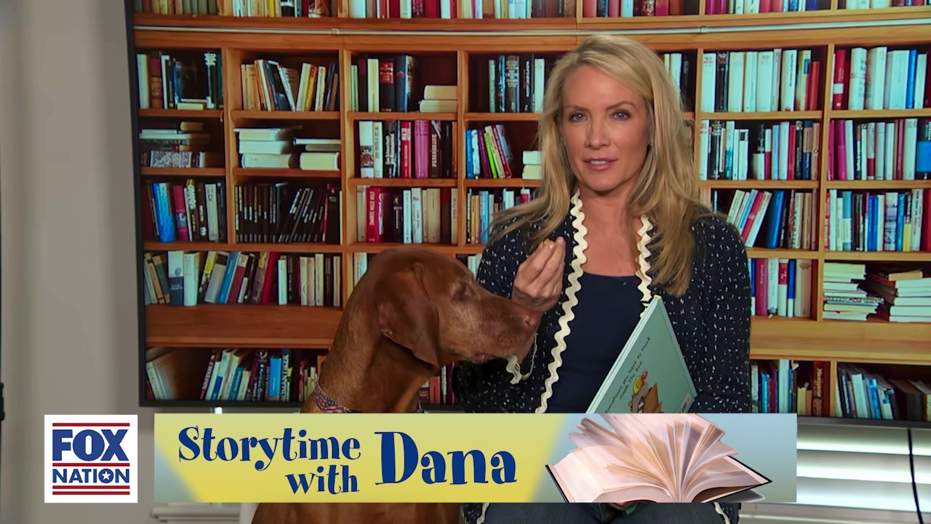 'The Box Turtle' and 'Can I Be Your Dog?'