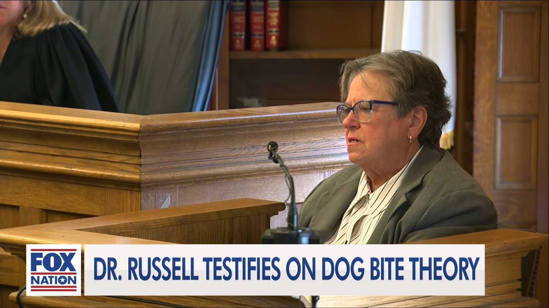 Karen Read Hearing 1/7: Afternoon