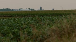 The B1G Story - Alex & Eli - The B1G Story - The Brands Brothers