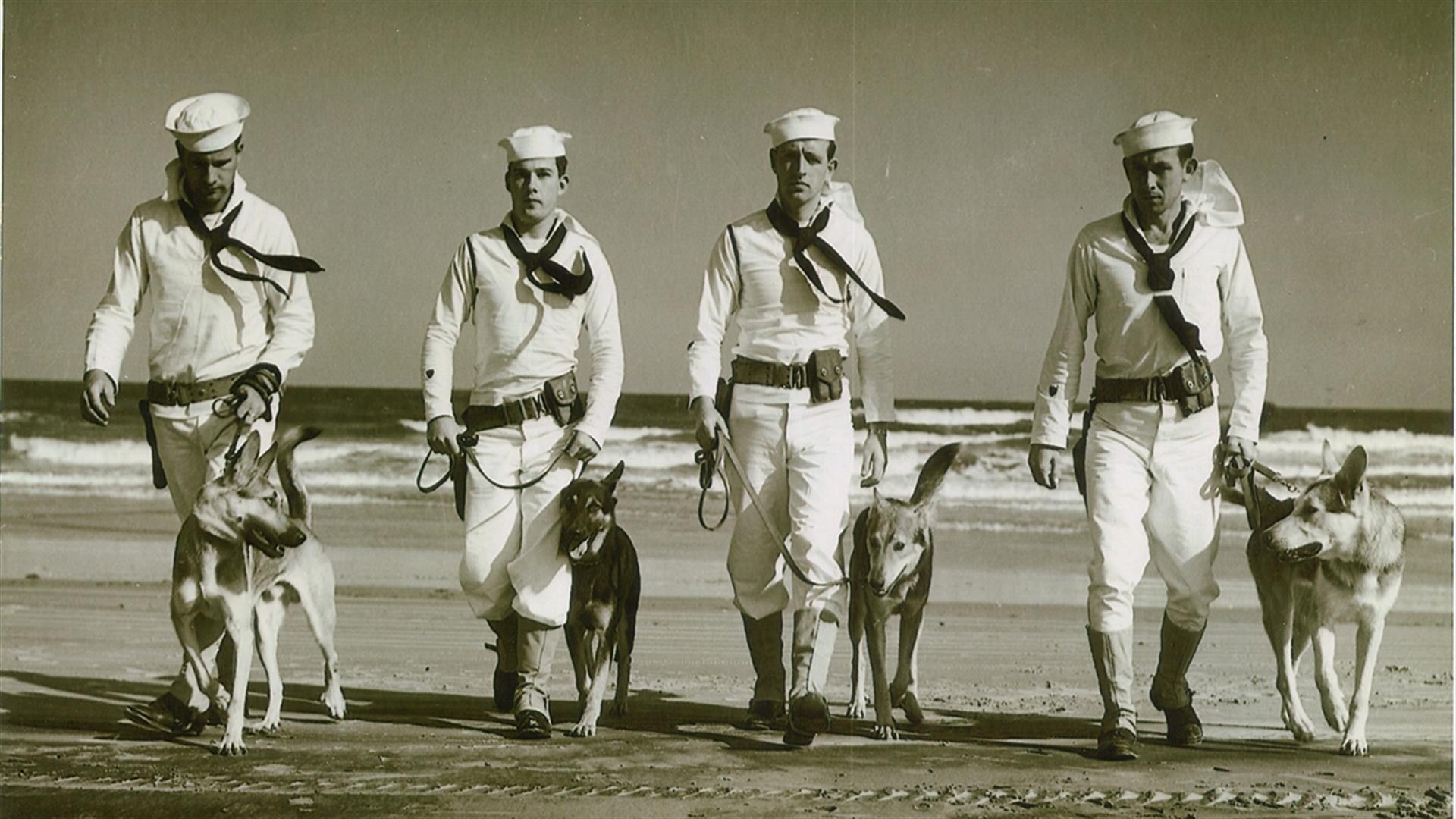 War Stories With Oliver North - Animal Warriors