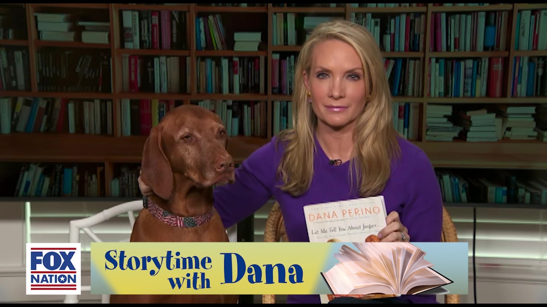 'A Day in the Life of Jasper'