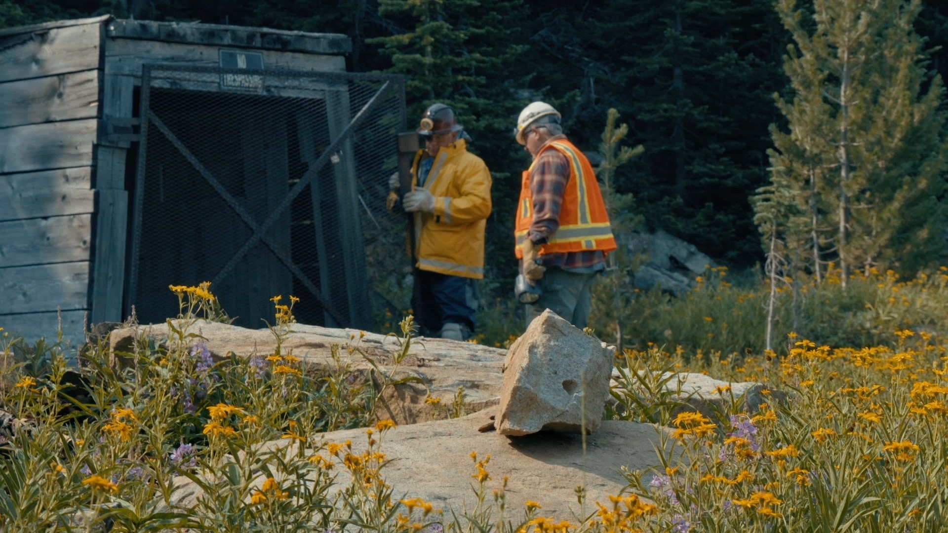 American Gold: The Legend of Bear Gulch - Bird in the Hand