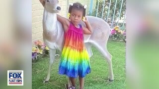 Tot-Girl, 3, Kidnapped From Home in The Night, Trail Leads to Motel