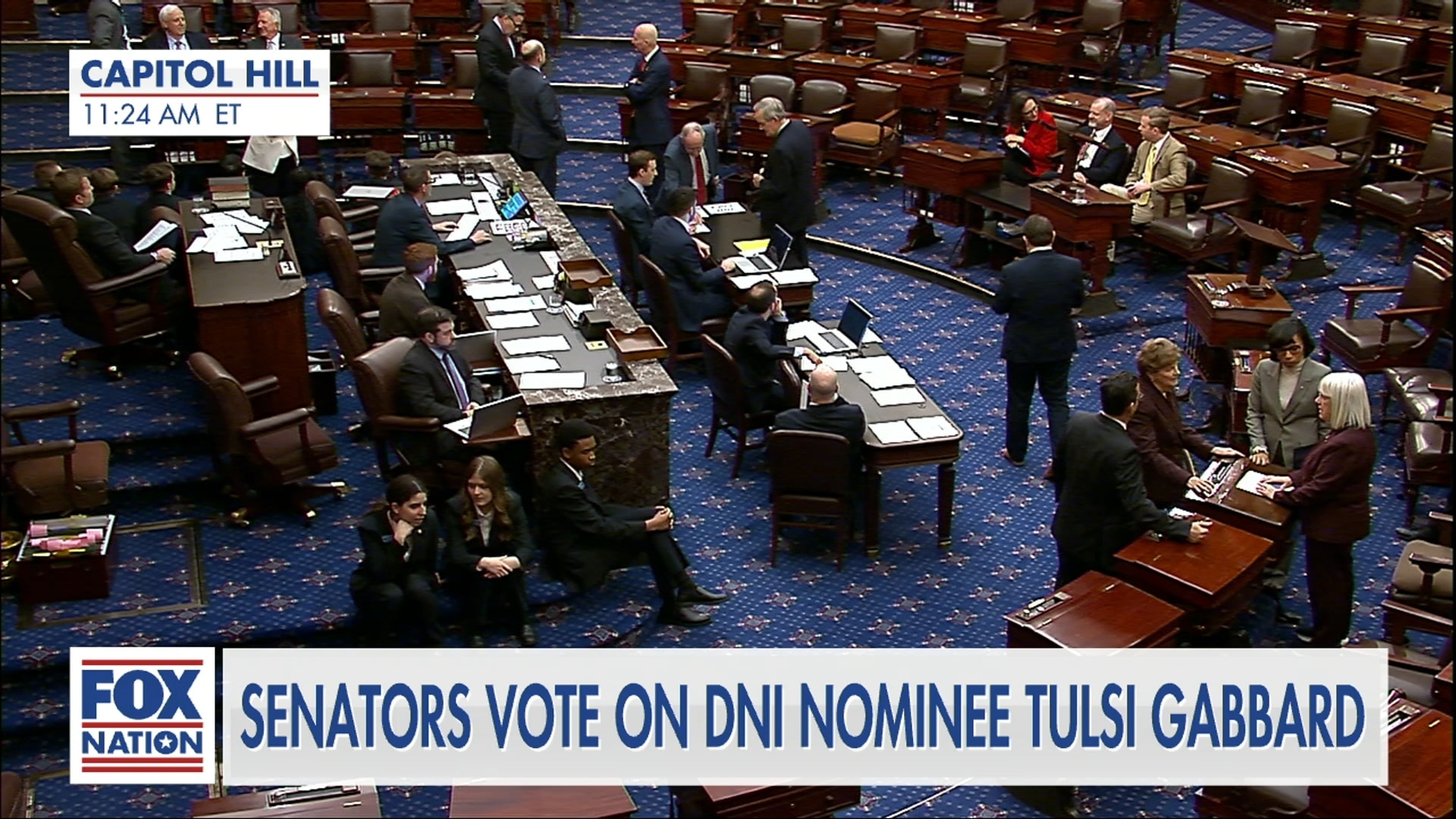 Confirmation Vote: Tulsi Gabbard, DNI