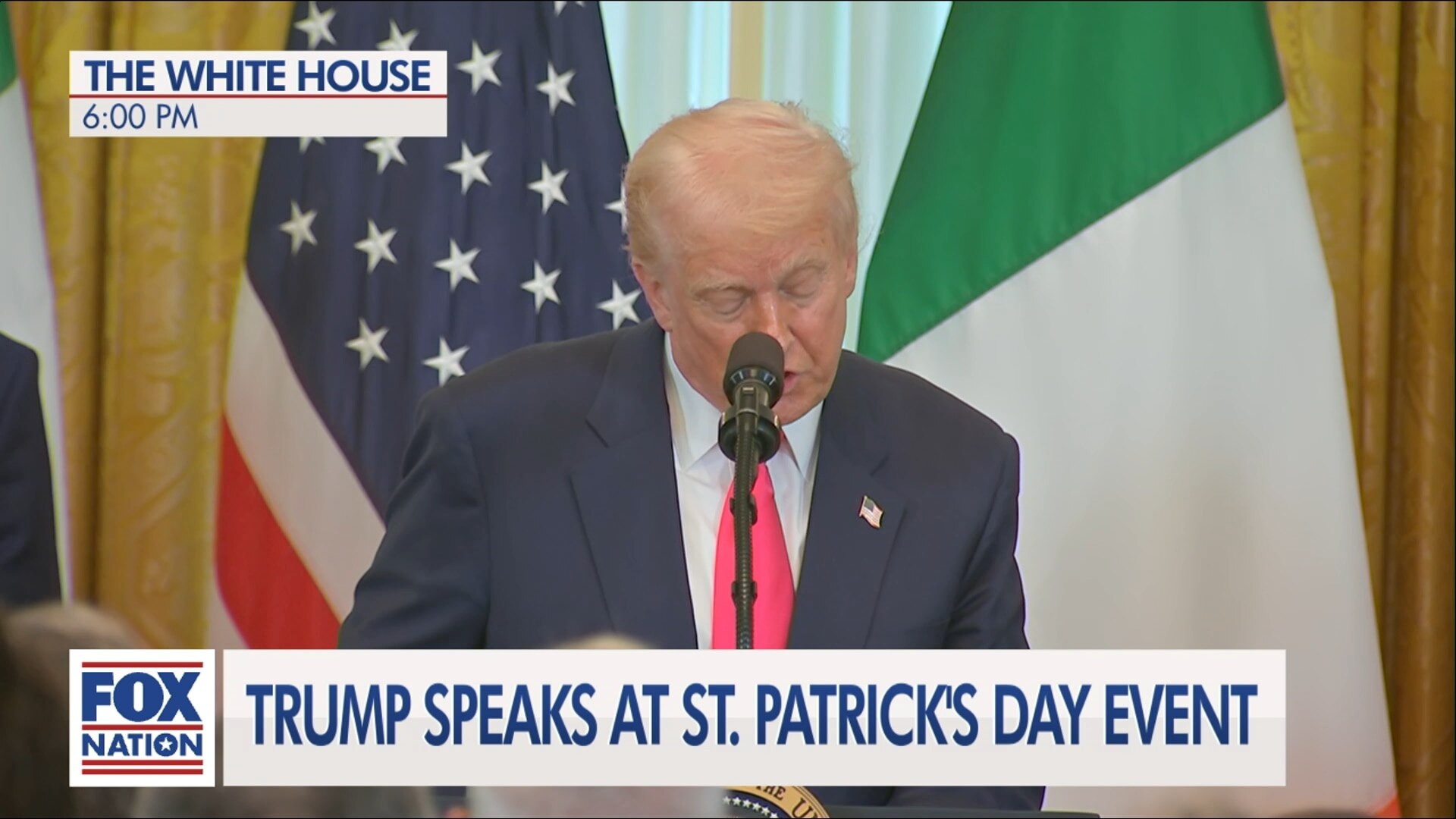 (3/12) St. Patrick's Day Reception