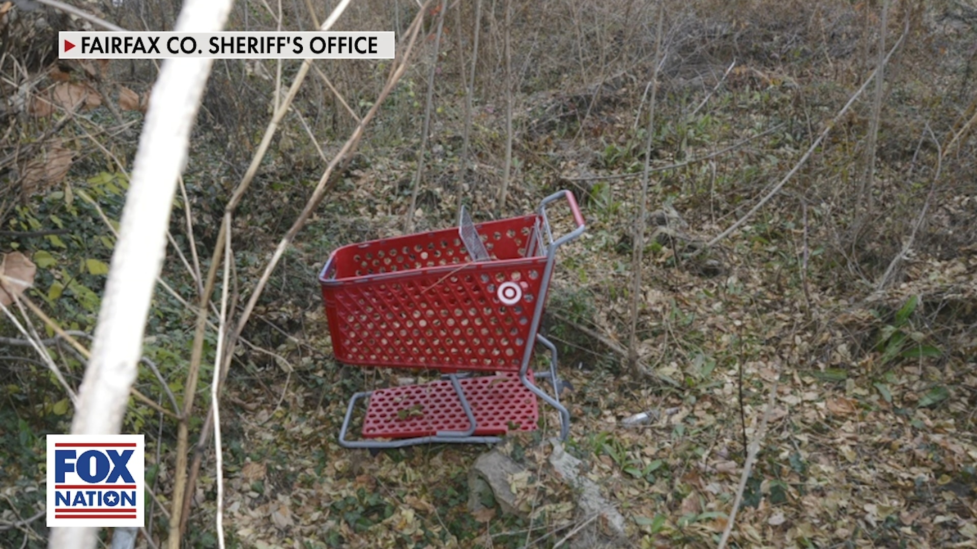 5 Women Torture-Killed, pushed in SHOPPING CARTS DEAD