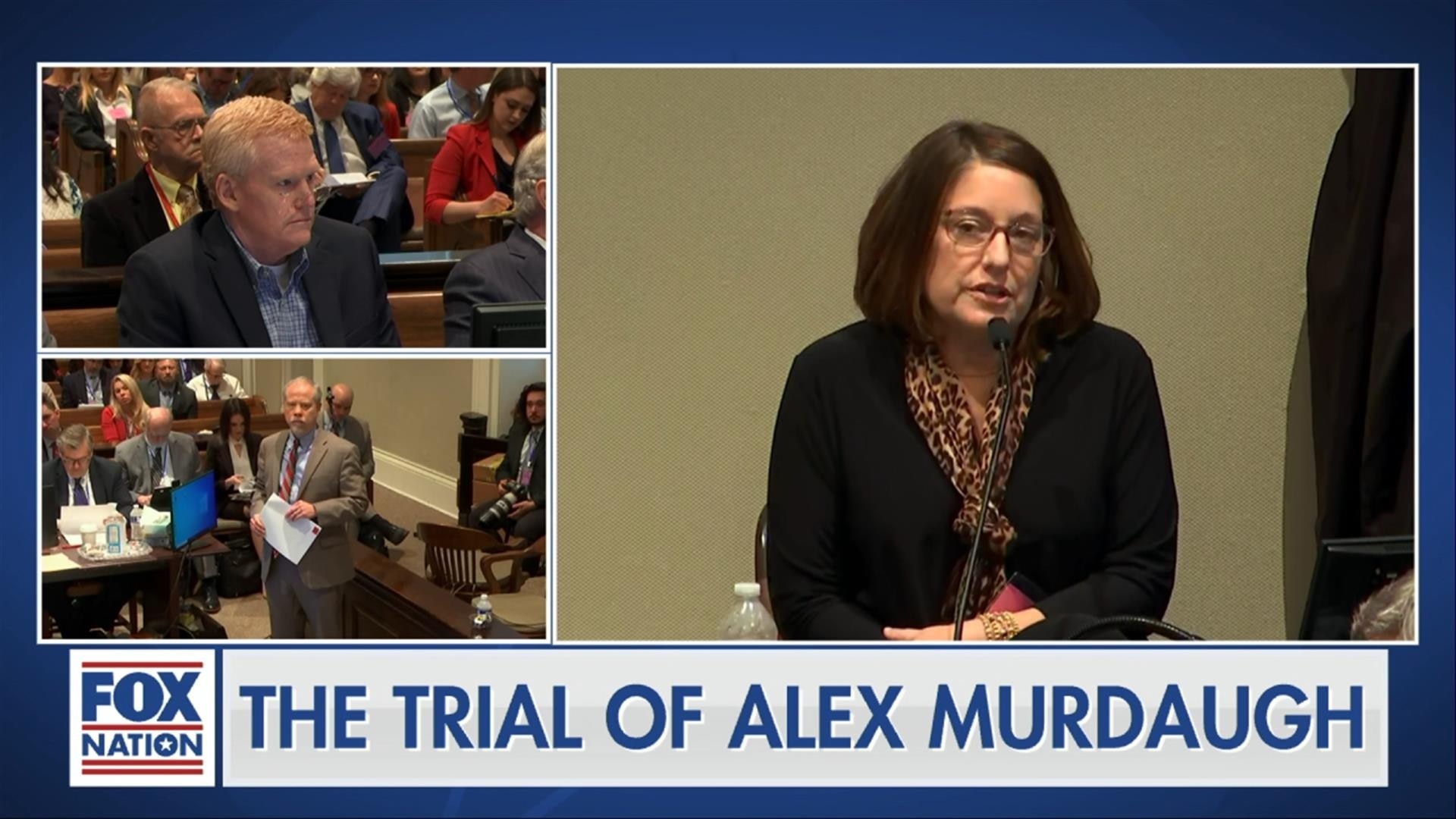 The Trial of Alex Murdaugh: 2/2 Morning