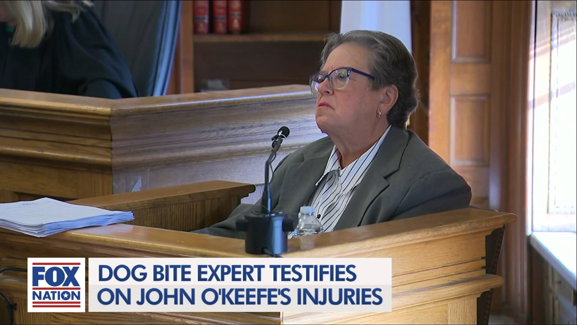 Karen Read Hearing 1/7: Morning