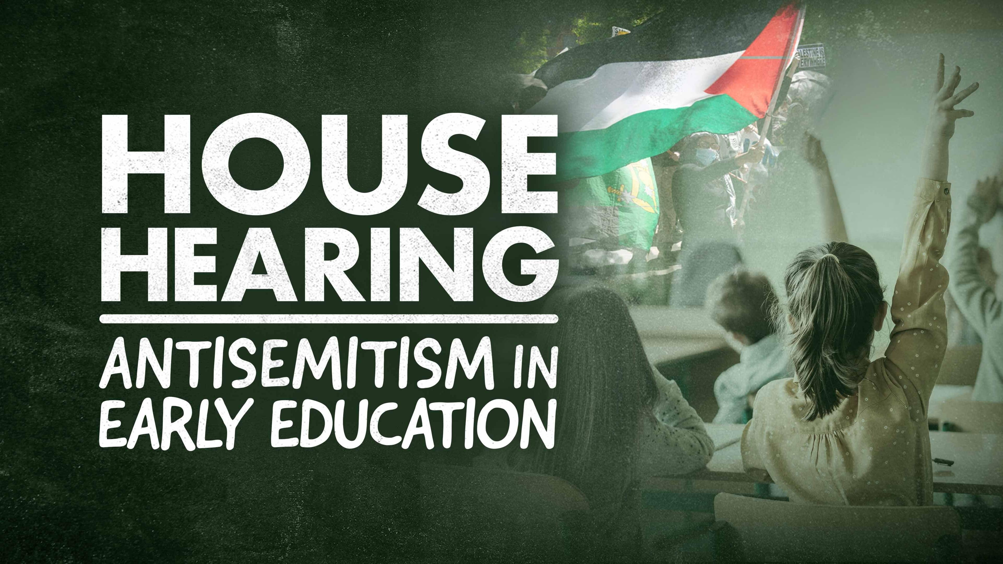 School Leaders Testify