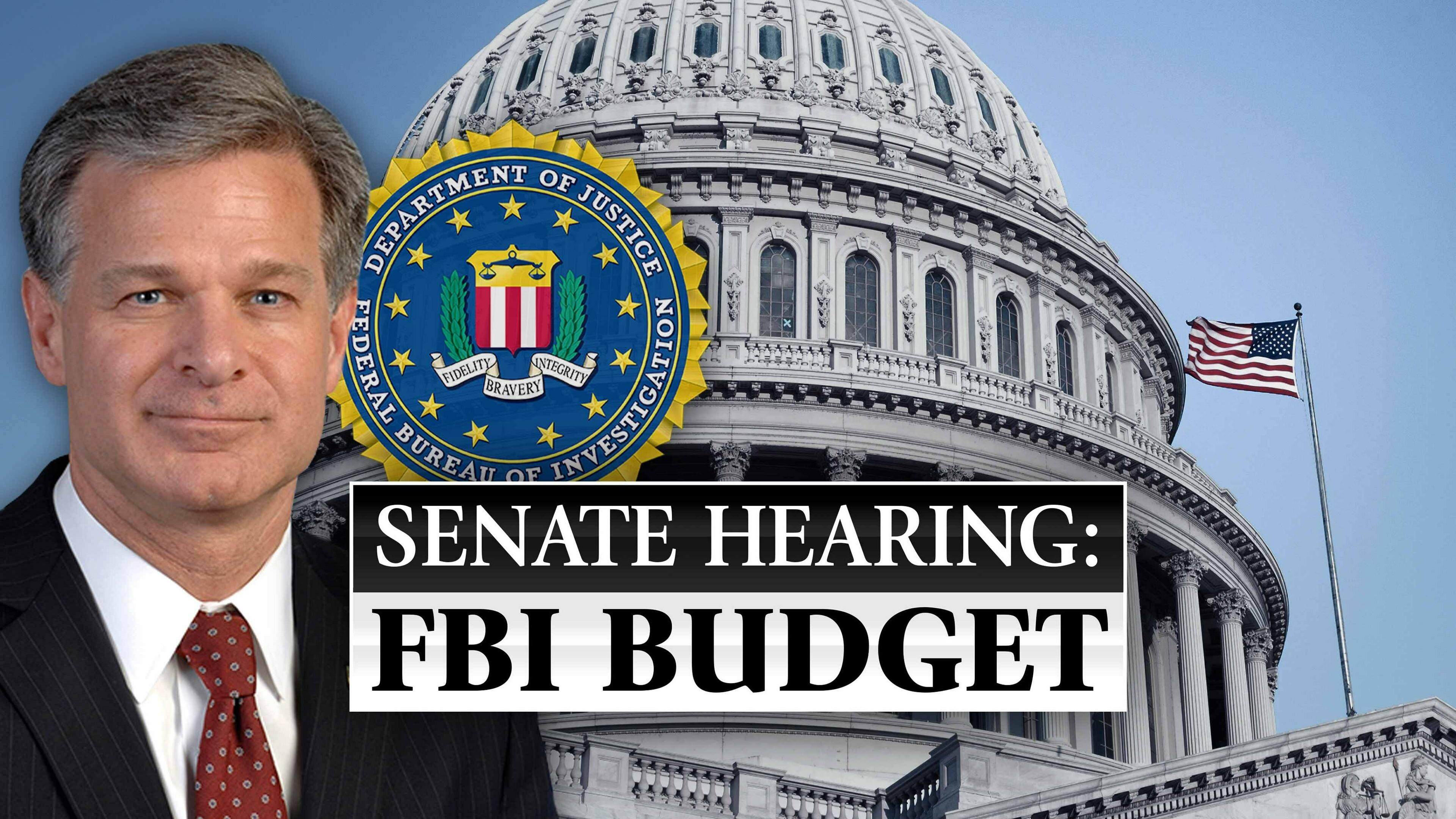 FBI Director Wray Testifies