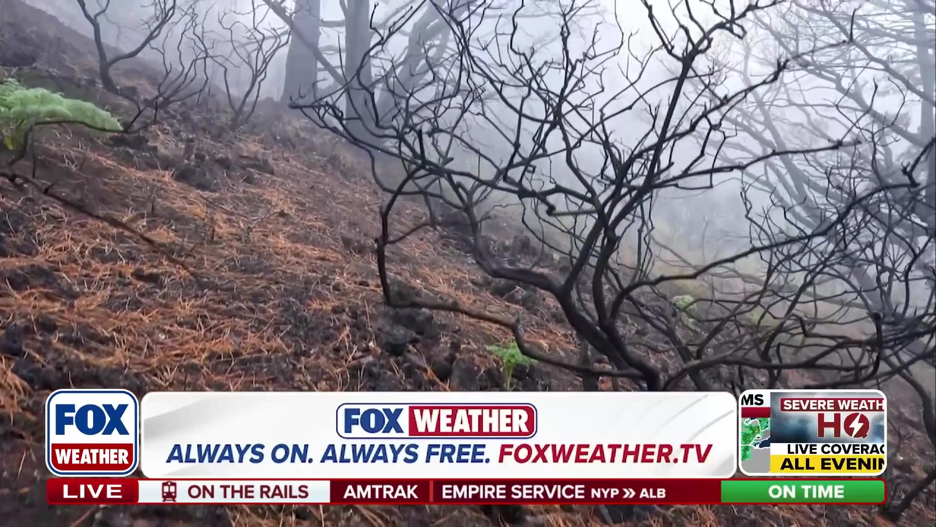 What makes a supervolcano so explosive?