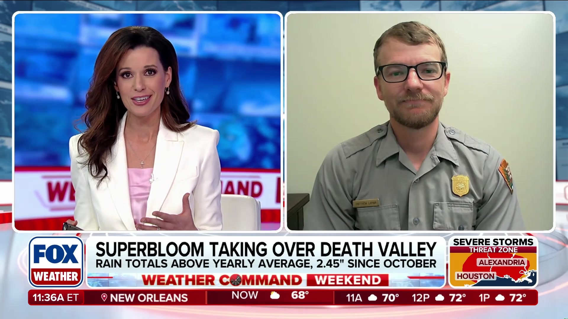 Death Valley experiences rare superbloom after above-average rainfall