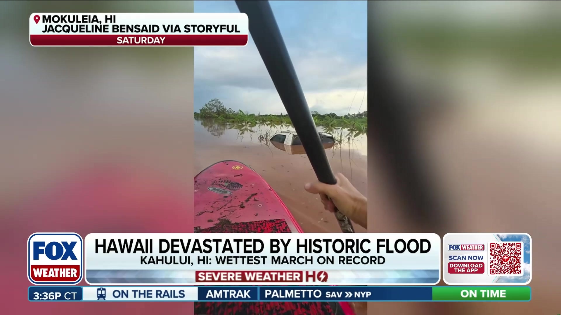 Woman rescues puppies from Hawaii flood on paddleboard