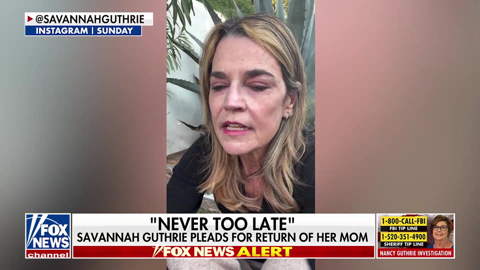 Savannah Guthrie makes emotional plea for mother's return: 'It's never too late'
