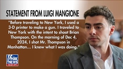Luigi Mangione pleads guilty to federal charges in CEO killing
