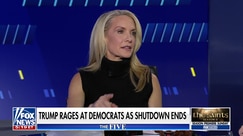 Dana Perino questions Democrats' shutdown strategy, impact on Americans