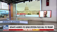 Senate agrees to send Epstein files bill to Trump's desk