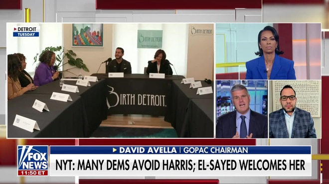 David Avella compares Kamala Harris's 2028 hopes to Walter Mondale