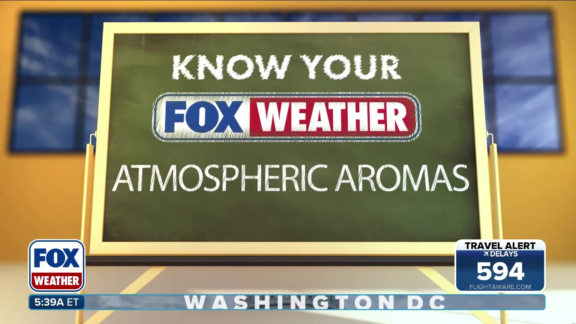 The science behind the smell of rain: Petrichor and Ozone