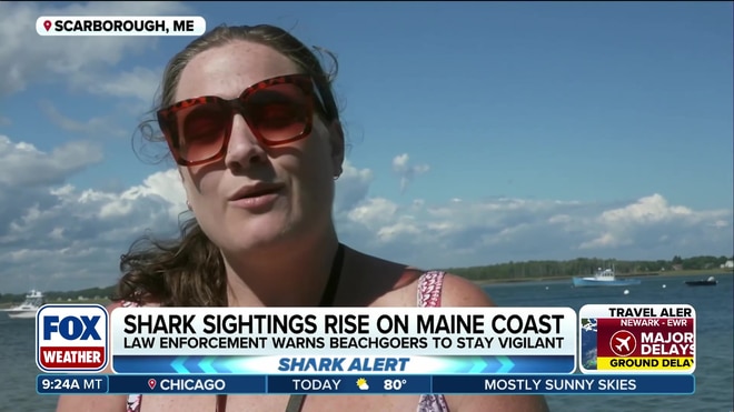 Shark sightings surge along the Maine coast