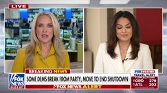 Democratic infighting erupts on Capitol Hill as moderate senators vote to end shutdown