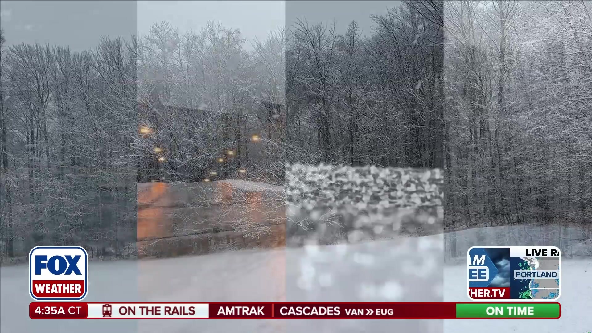 What's the difference between snow, sleet, freezing rain, and rain?