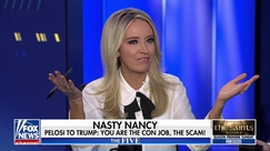 Kayleigh McEnany: Democrats caused shutdown for 'a fight,' not principle