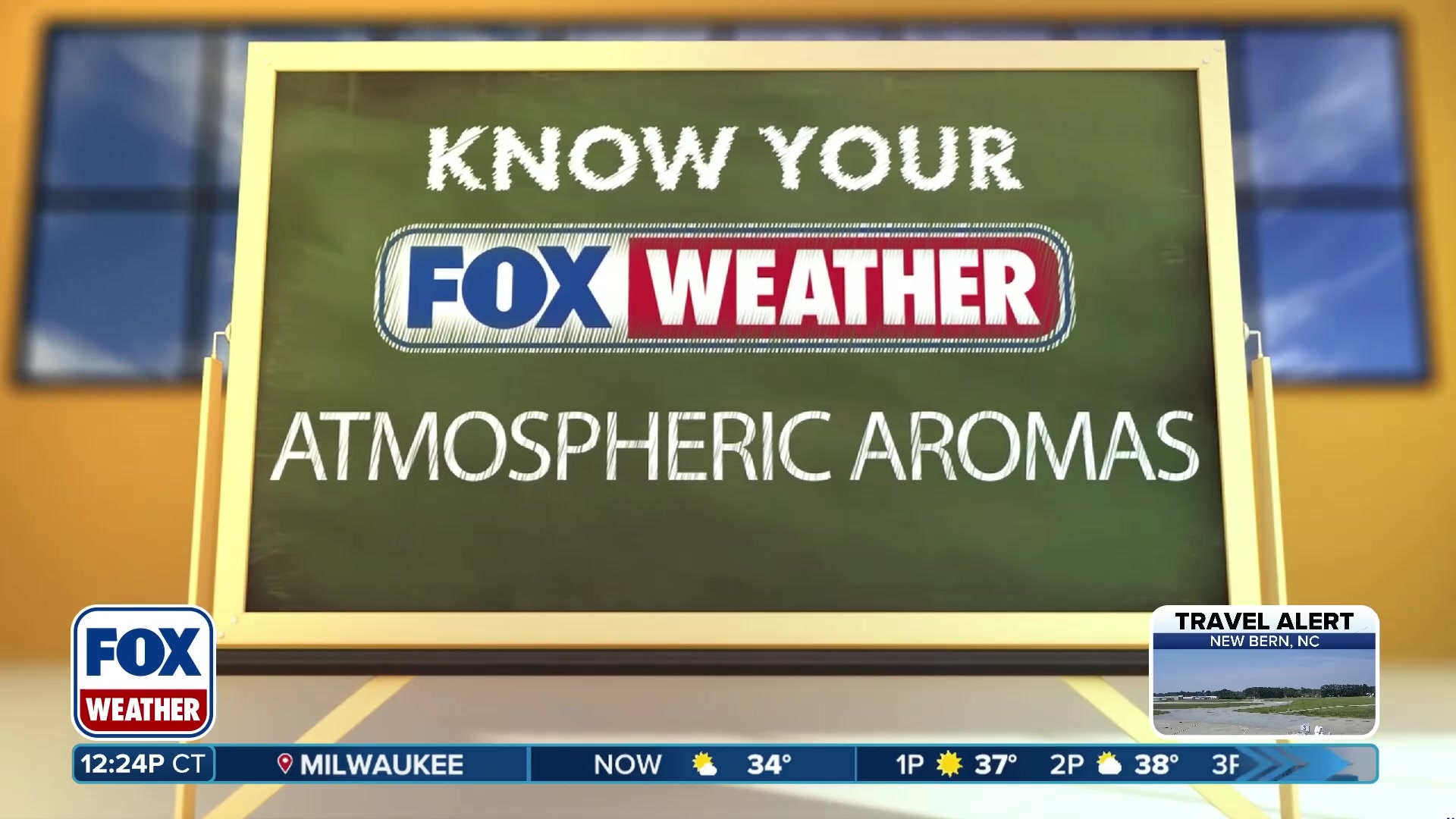 Understanding the science behind petrichor and the smell of rain