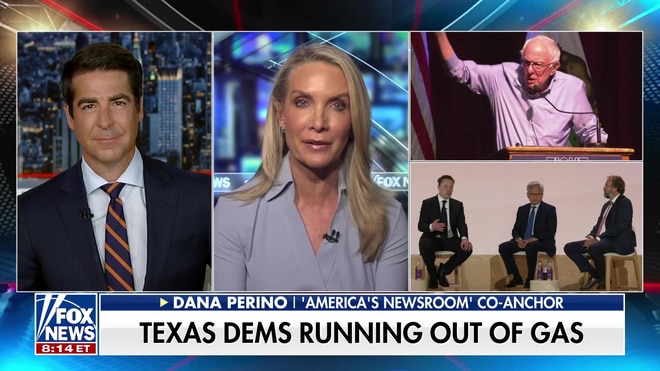 Dana Perino breaks down early voting trends and Republican momentum