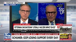 Chuck Schumer: Republicans have 'no choice' but to cave on DHS funding