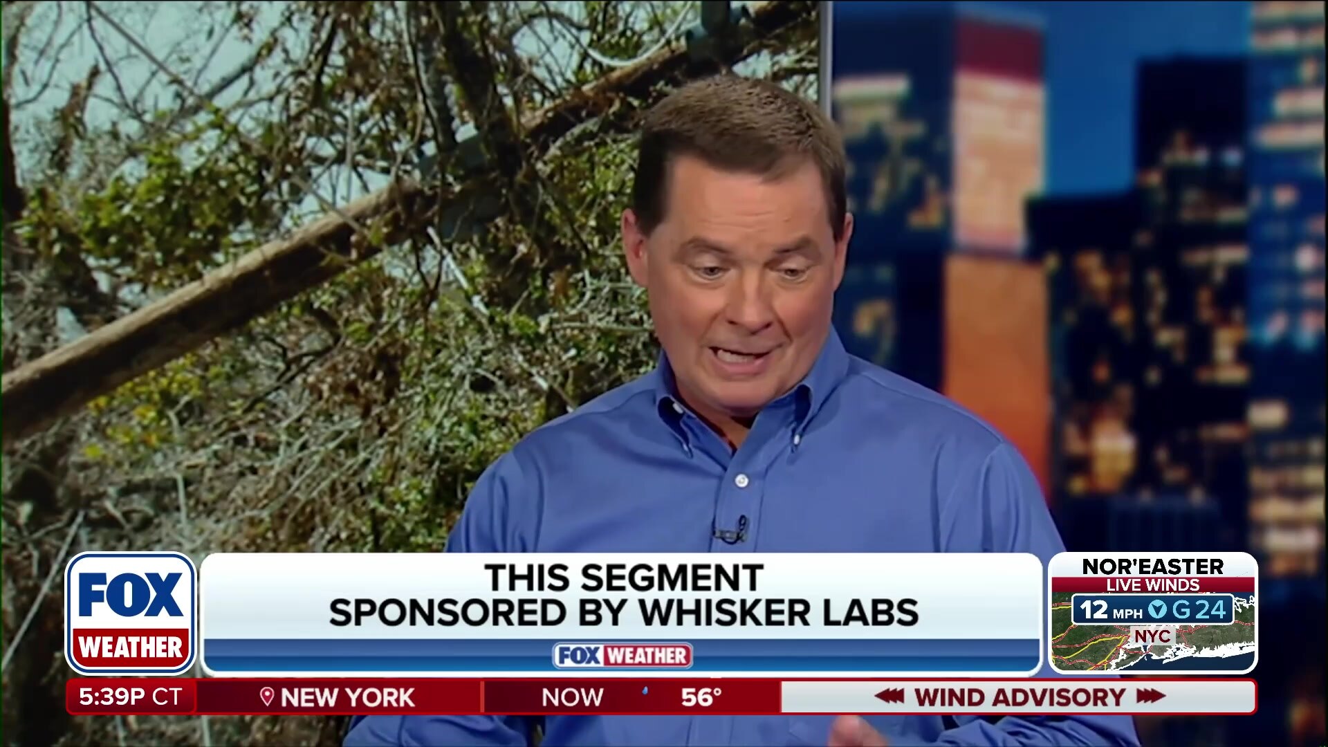 Introducing 'Ting': A device designed to prevent 80% of electrical fires