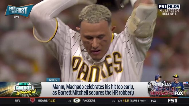 Should fan interference rules be changed in Major League Baseball?