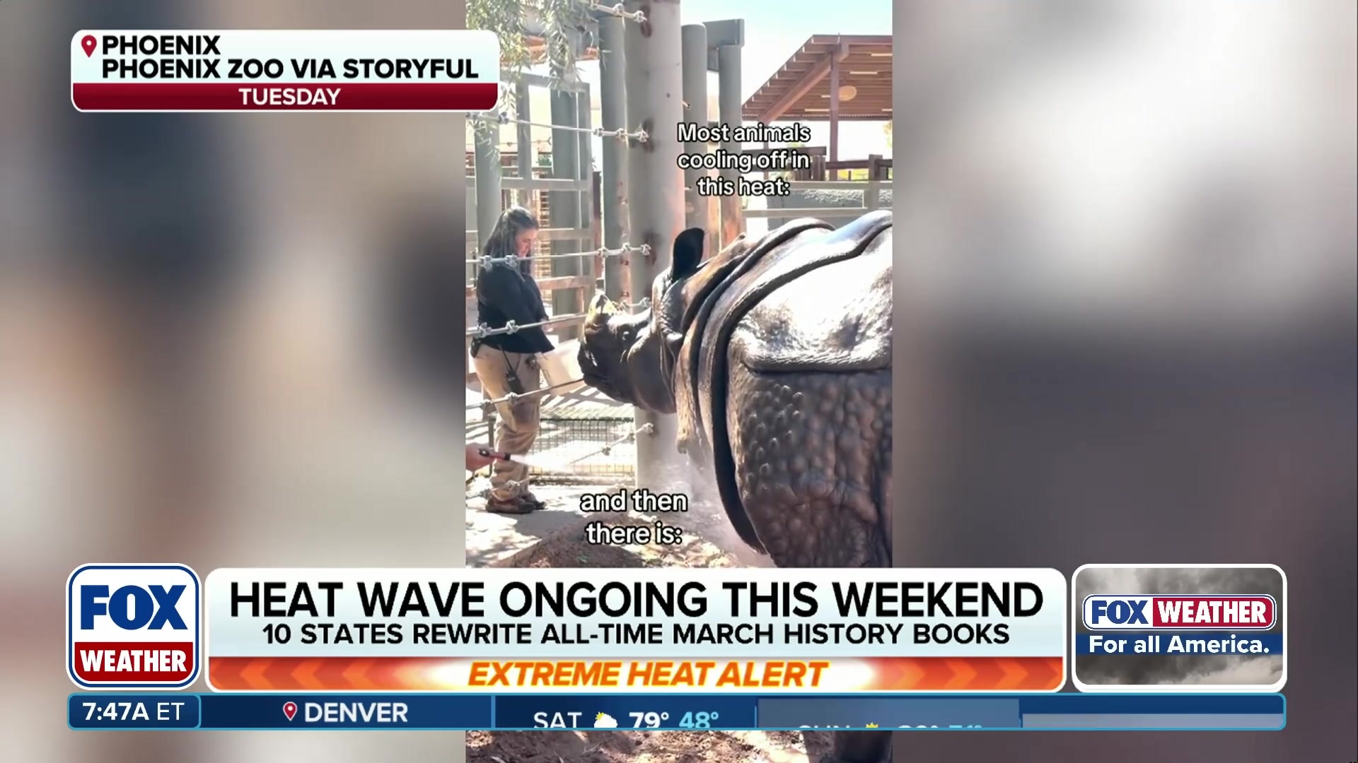 Phoenix Zoo animals cool off during extreme heat wave