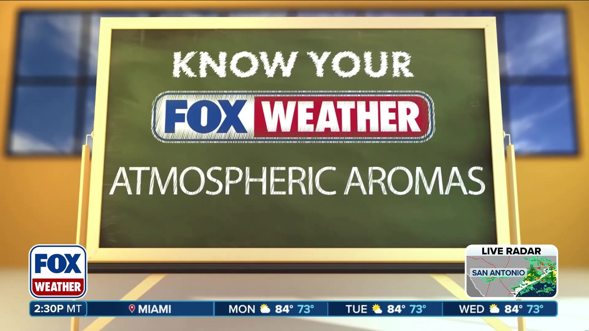 Explaining the unique scents of rain