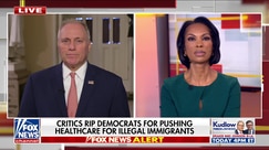 Scalise slams Schumer for government shutdown over free healthcare for illegal immigrants
