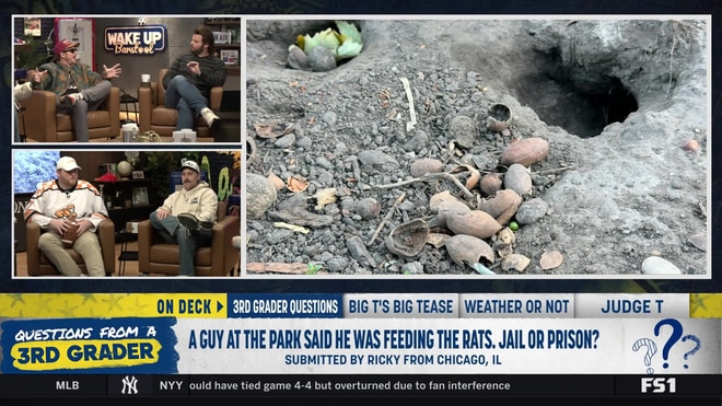 Is a Chicago billionaire actually paying people to feed rats?