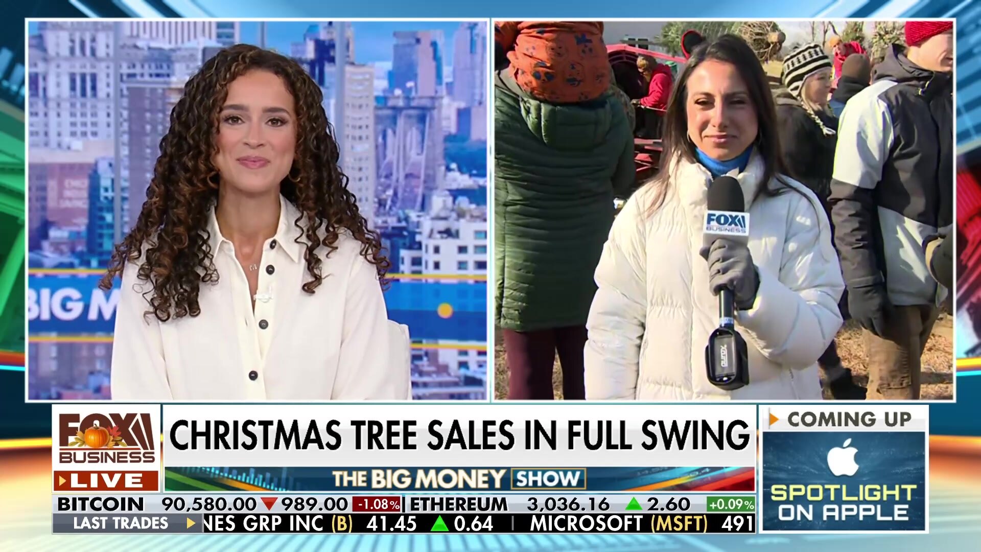 Black Friday boosts Christmas tree sales at Illinois farm