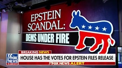 House Speaker Mike Johnson questions Democrats' sudden interest in Epstein files